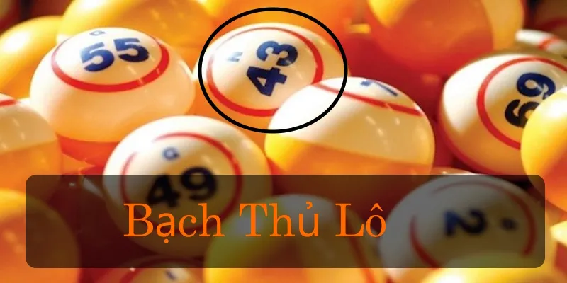 bạch thủ lô