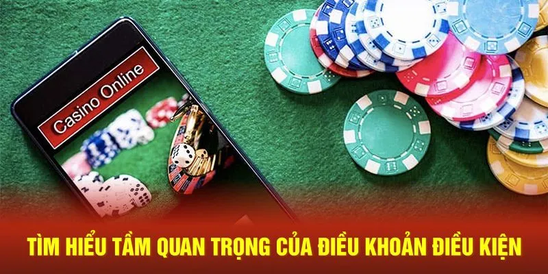 Hiểu rõ tầm quan trọng của điều khoản và điều kiện tại 23Win